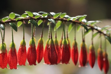 广州南沙区9私人快速借钱网，轻松解决资金难题