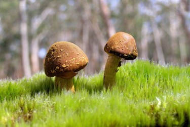 广州南沙区9私人老板放款：轻松融资的秘密通道